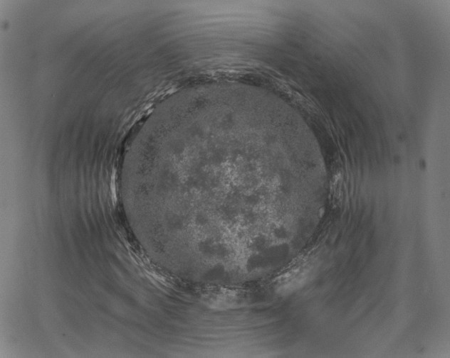 X0000065980772200603101421