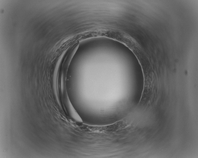 X0000065980773200603101421