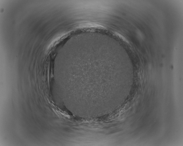 X0000065980775200603101421