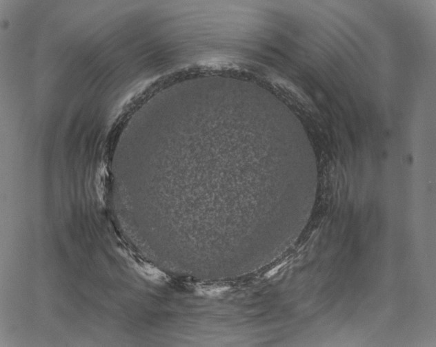 X0000065980776200603101421