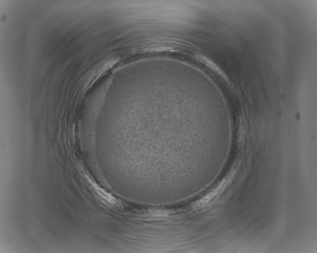 X0000065980777200603101421