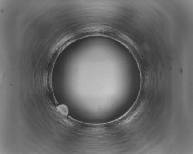 X0000065980778200603101421