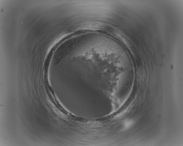 X0000065980779200603101421