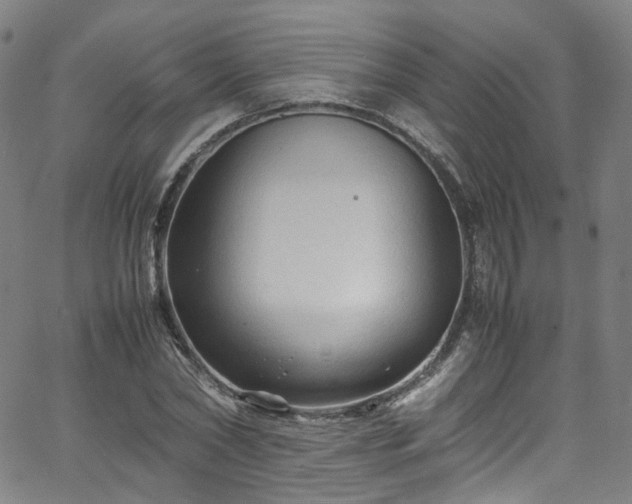 X0000065980782200603101421