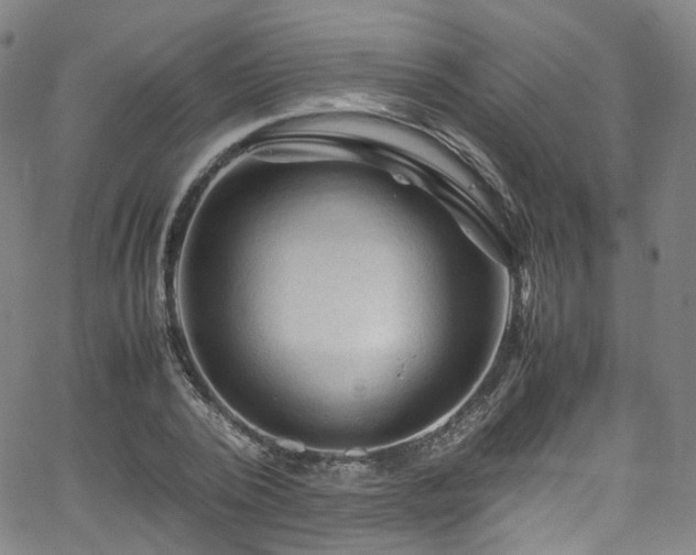 X0000065980784200603101421