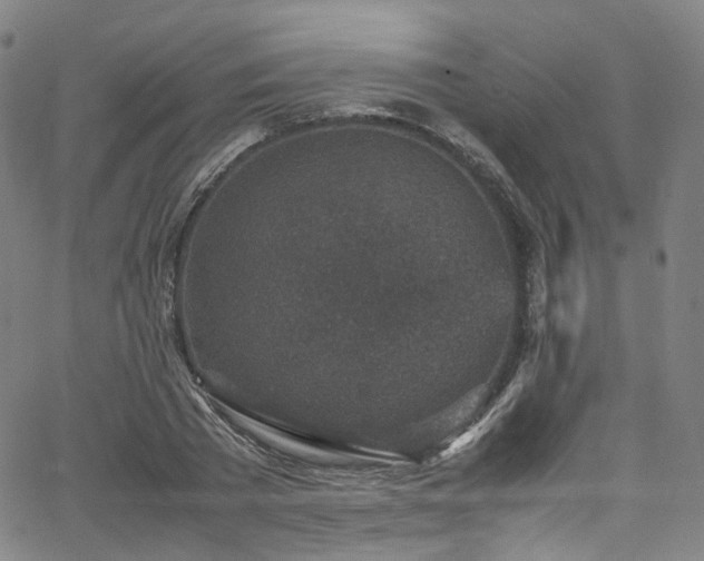 X0000065980785200603101421