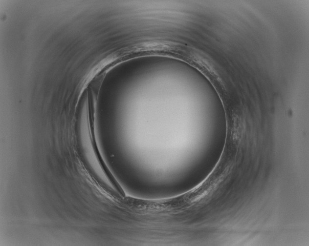 X0000065980786200603101421