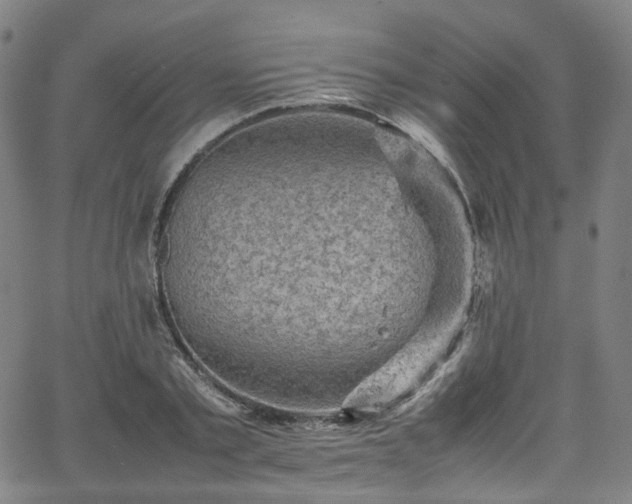 X0000065980789200603101421