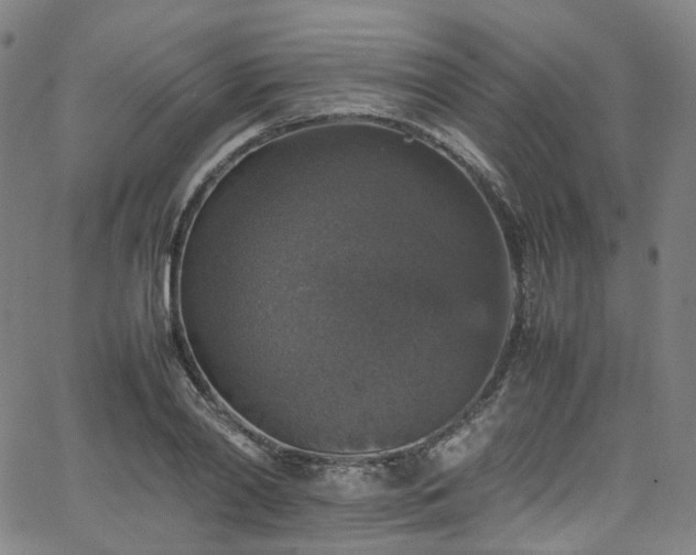 X0000065980790200603101421