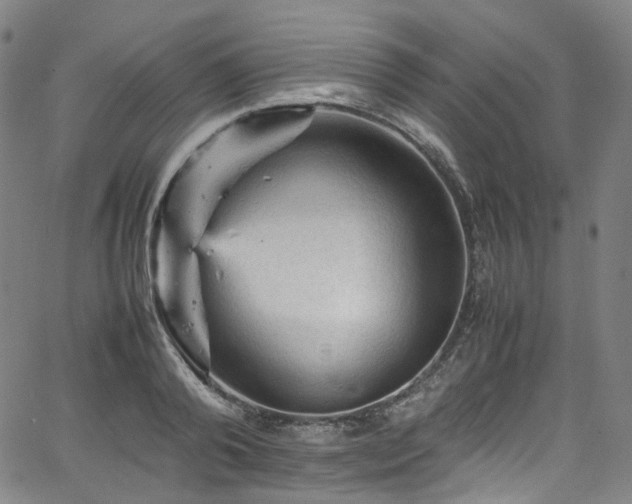 X0000065980792200603101421