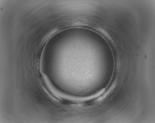 X0000065980793200603101421