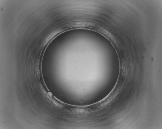 X0000065980794200603101421