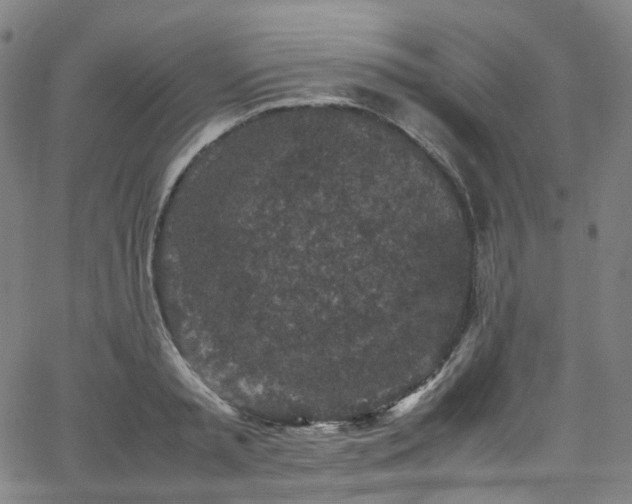 X0000065980797200603101421