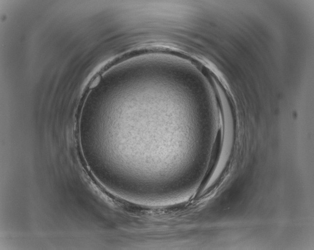 X0000065980799200603101421