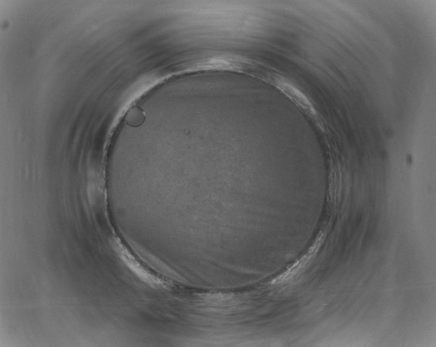 X0000065980800200603101421