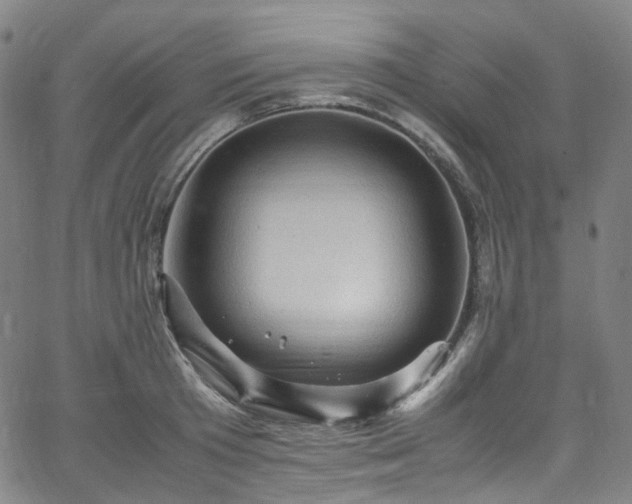 X0000065980801200603101421