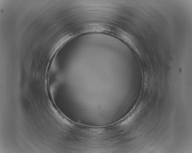 X0000065980802200603101421