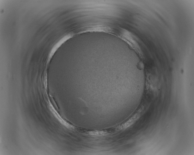 X0000065980804200603101421