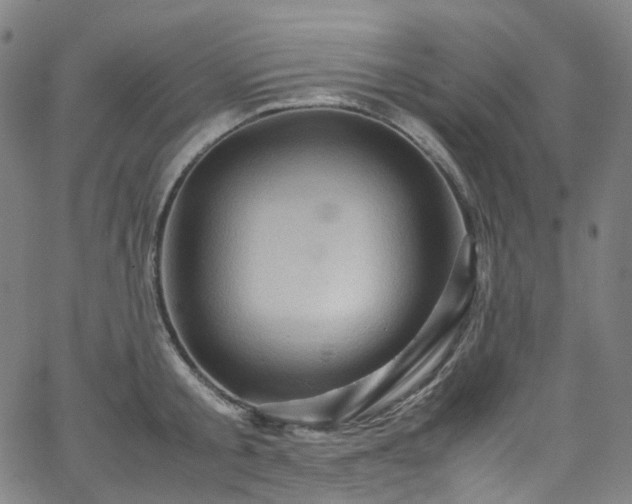 X0000065980805200603101421