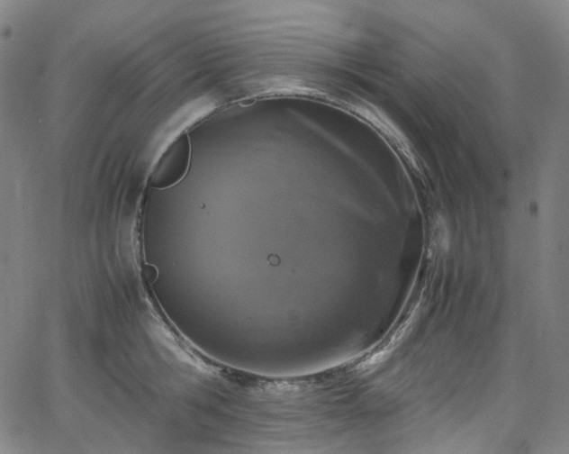 X0000065980806200603101421