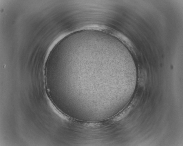 X0000065980808200603101421