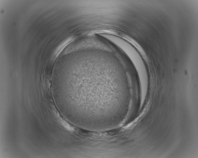 X0000065980809200603101421