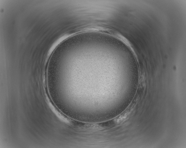 X0000065980811200603101421