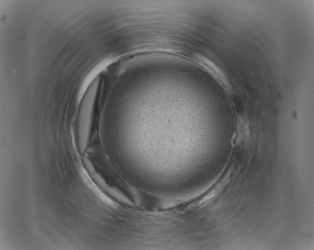 X0000065980812200603101421