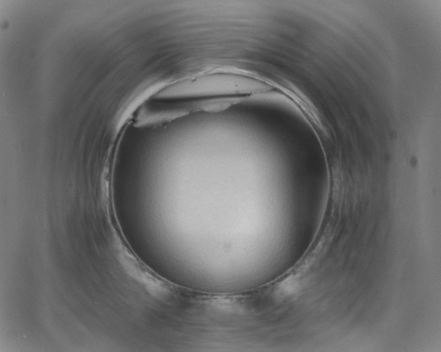 X0000065980814200603101421