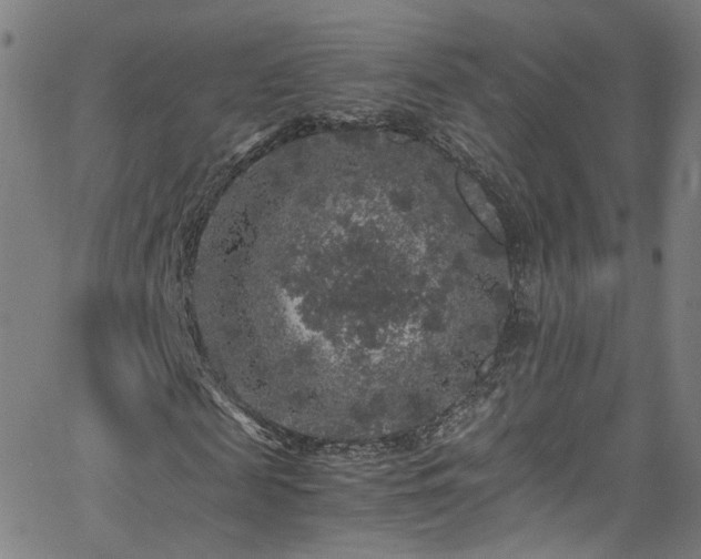 X0000065980817200603101420