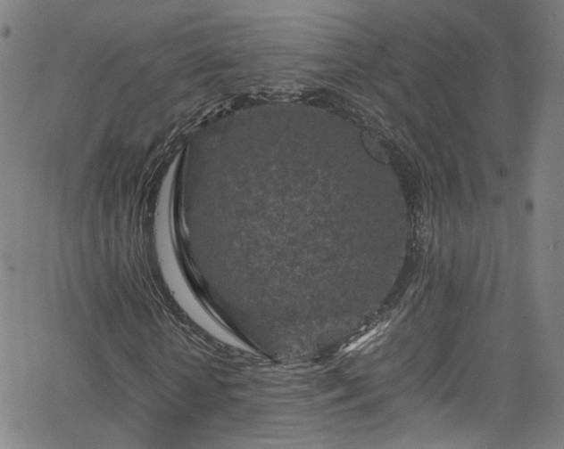 X0000065980818200603101420