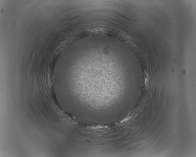 X0000065980819200603101420