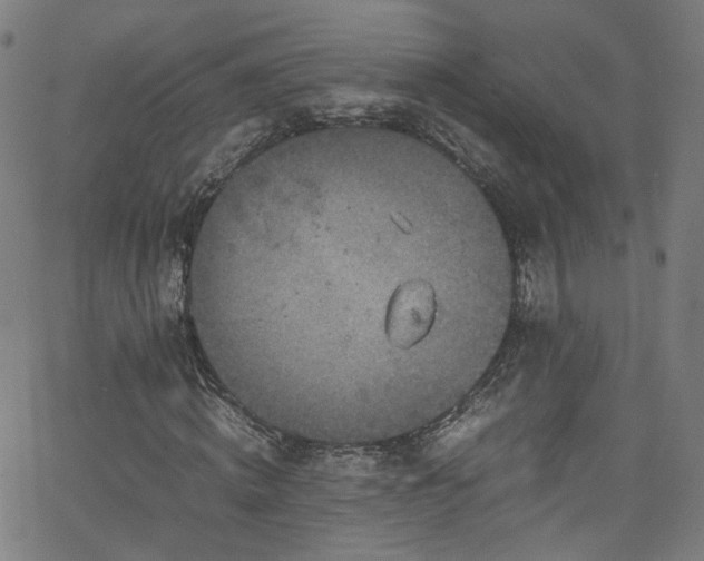 X0000065980820200603101420