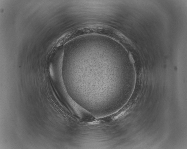 X0000065980822200603101420