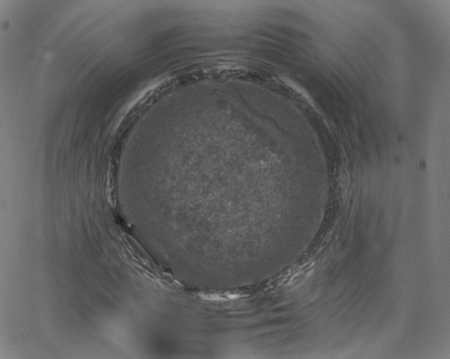 X0000065980823200603101420