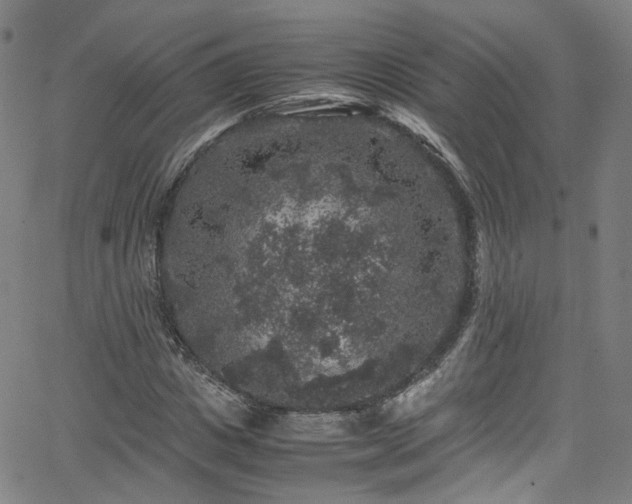 X0000065980825200603101420