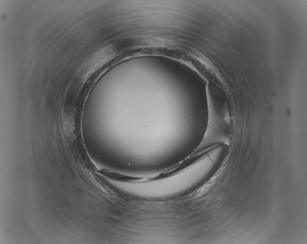 X0000065980826200603101420