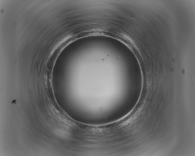 X0000065980827200603101420