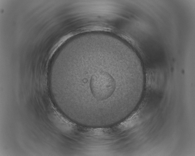 X0000065980828200603101420