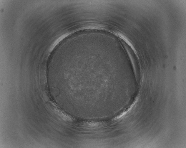 X0000065980829200603101420