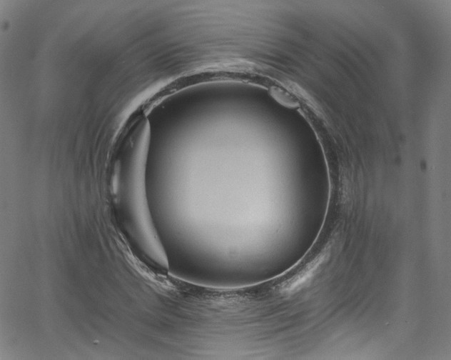 X0000065980830200603101420