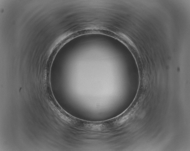 X0000065980831200603101420