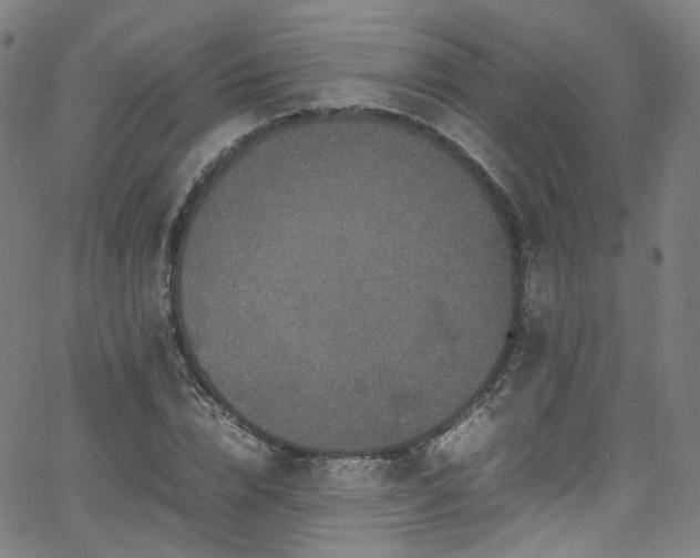 X0000065980832200603101420