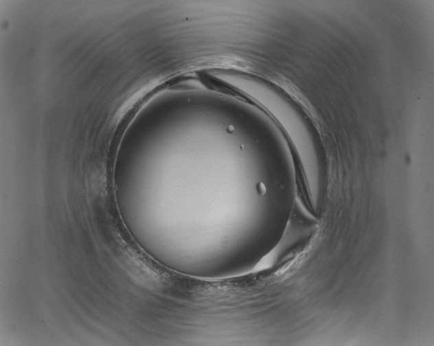 X0000065980834200603101420