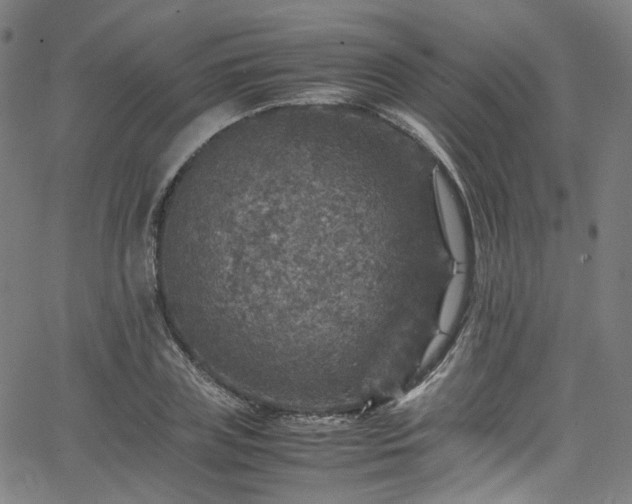 X0000065980835200603101420