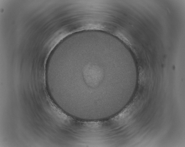 X0000065980836200603101420