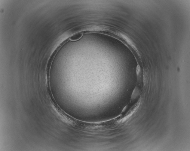 X0000065980837200603101420