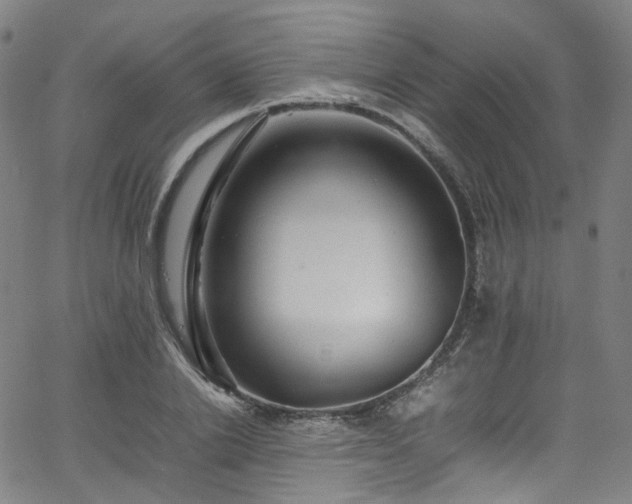 X0000065980838200603101420