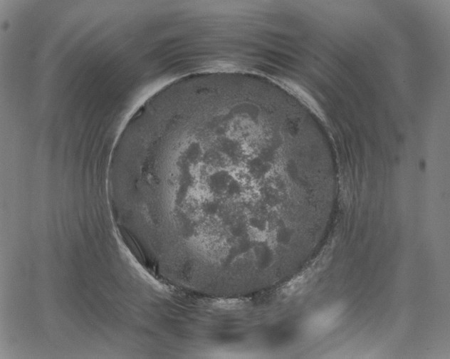 X0000065980839200603101420