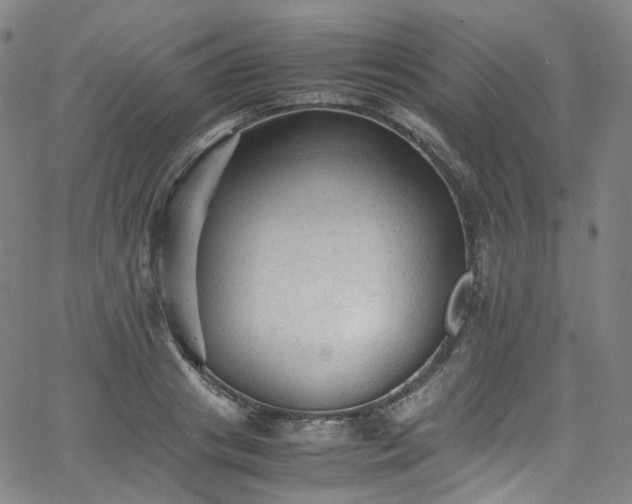 X0000065980841200603101420